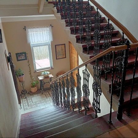 Villa Rosenberg Марианске-Лазне Экстерьер фото
